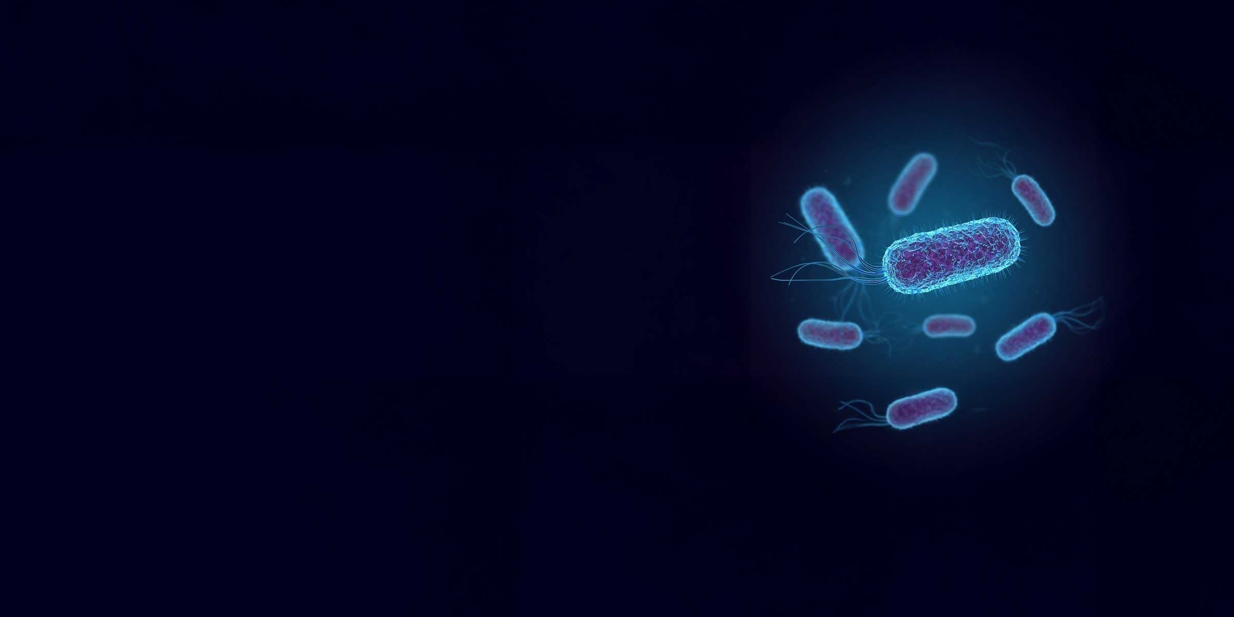 Microscopic illustration of blue E. coli bacteria with fimbriae on a dark navy background.