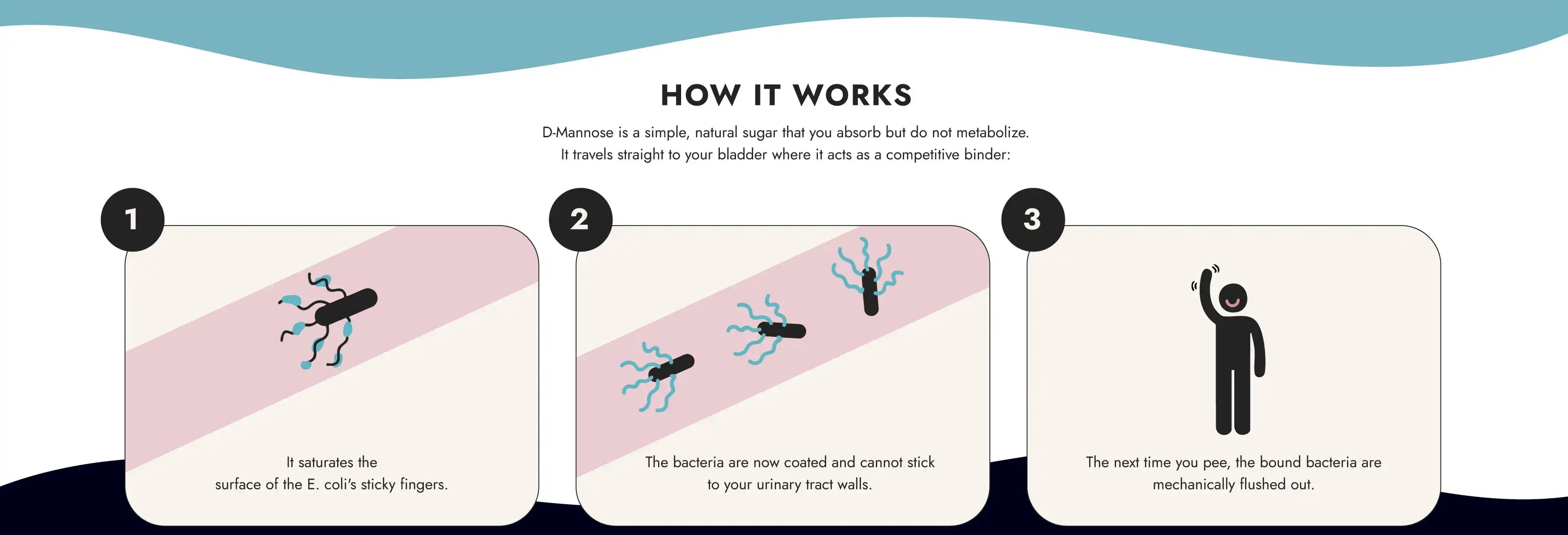 How it works; illustration of E. coli being covered by D-Mannose and person waving 'goodbye'.