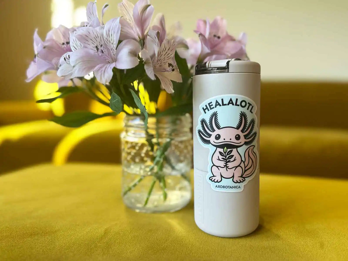 Image of an axolotl sticker with the word HEALALOTL above it on a mug next to flowers on a yellow ottoman.