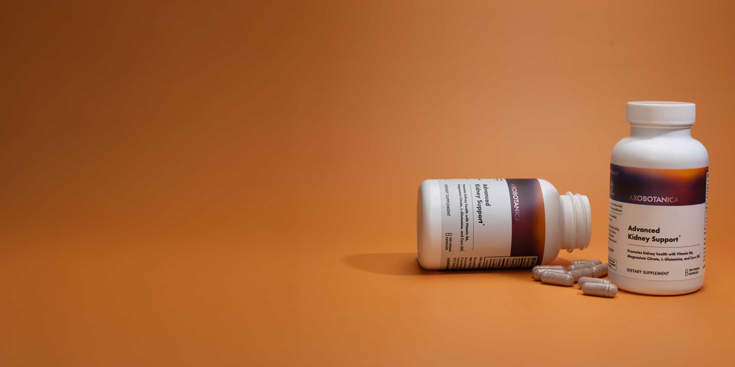 Why We Started Axobotanica: A Physician's Journey to Natural Kidney Health
