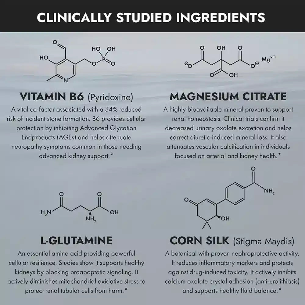 Chart detailing clinically studied ingredients including Vitamin B6, Magnesium Citrate, L-Glutamine, and Corn Silk.