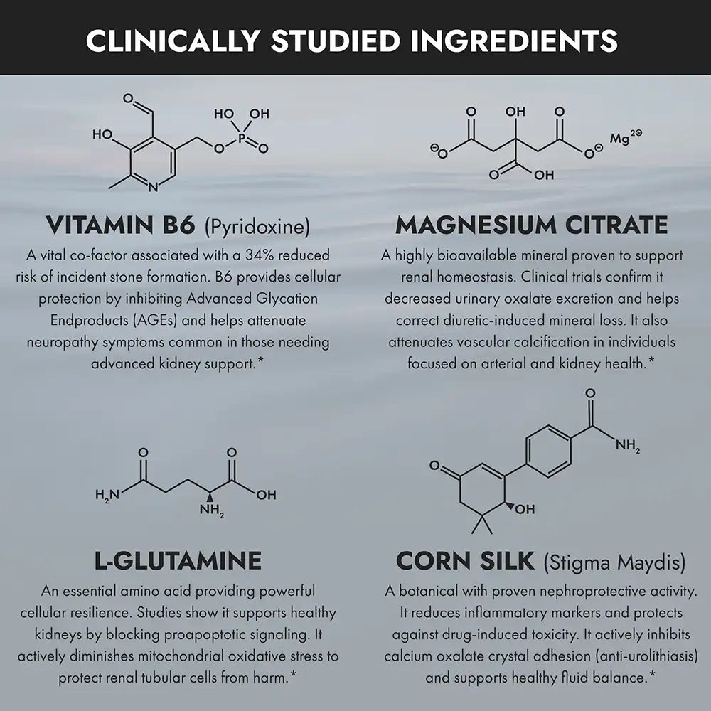Clinically studied ingredients, vitamin B6, magnesium citrate, l-glutamine and corn silk