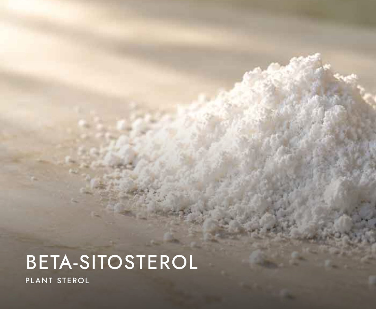 Beta-sitosterol powder, a plant sterol in Axobotanica Targeted Prostate Flow