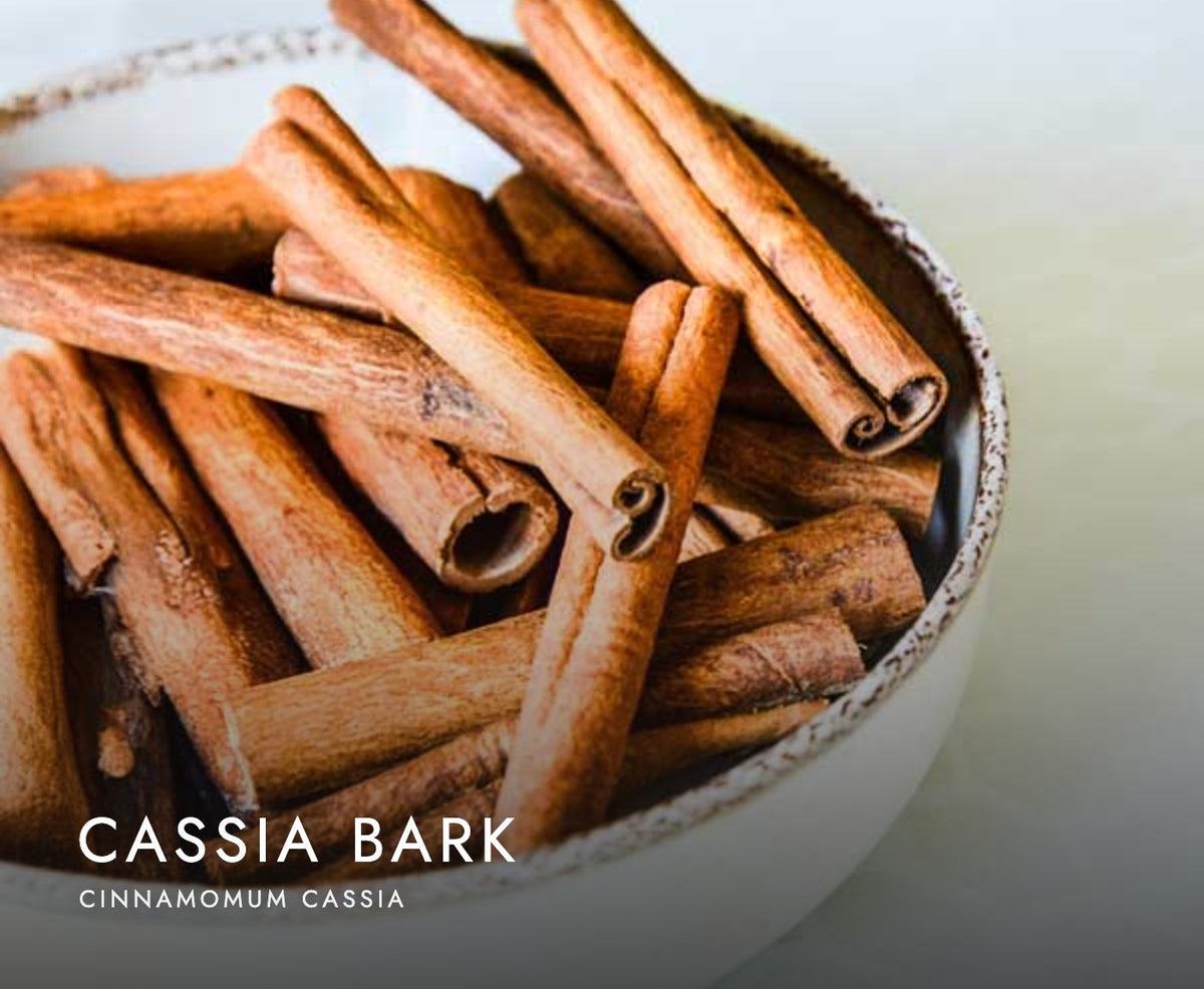 Cassia bark (Cinnamomum cassia), a botanical in Axobotanica Targeted Prostate Flow