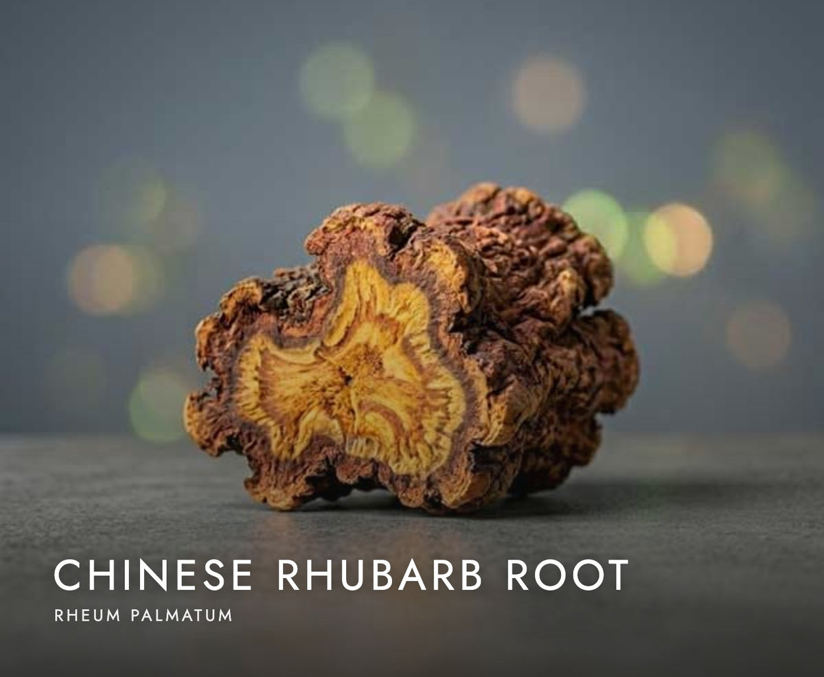 Chinese rhubarb root (Rheum palmatum), a botanical in Axobotanica Targeted Prostate Flow