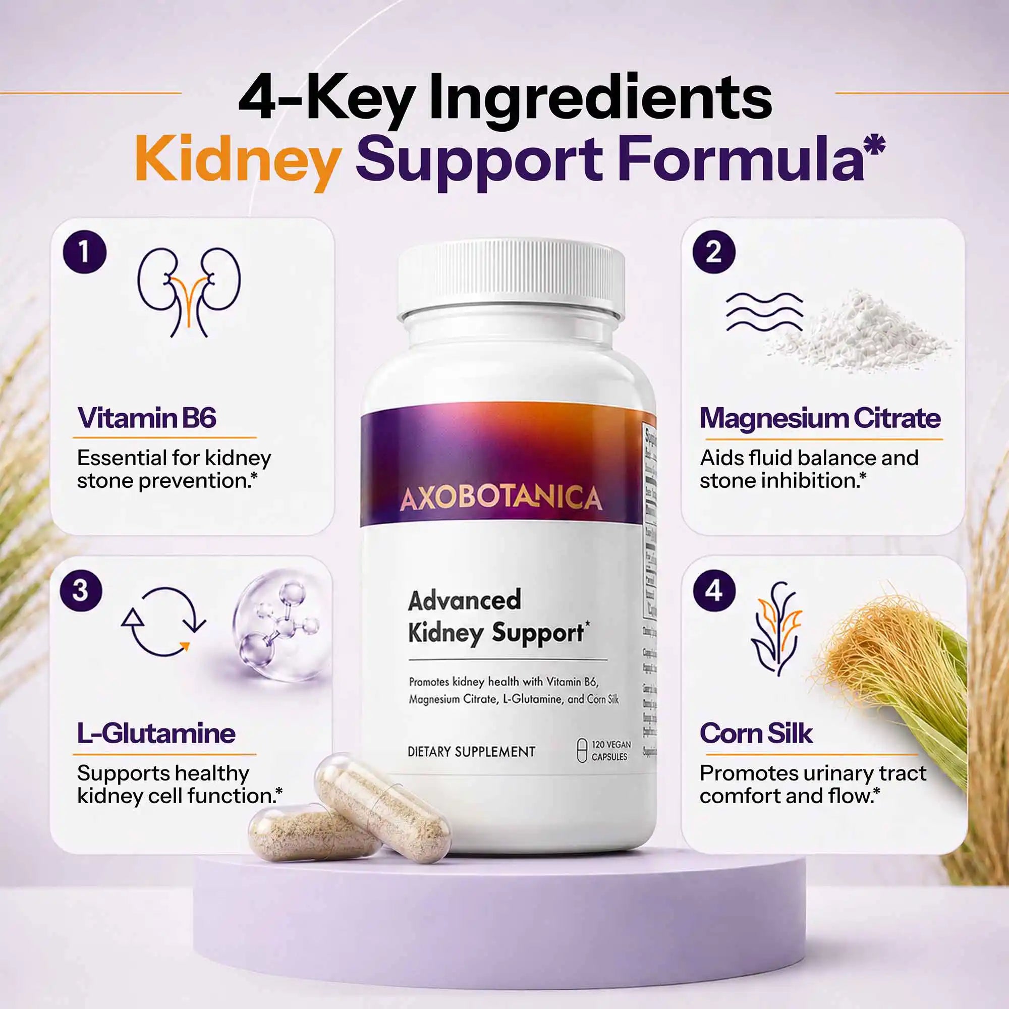 Advanced Kidney Support
