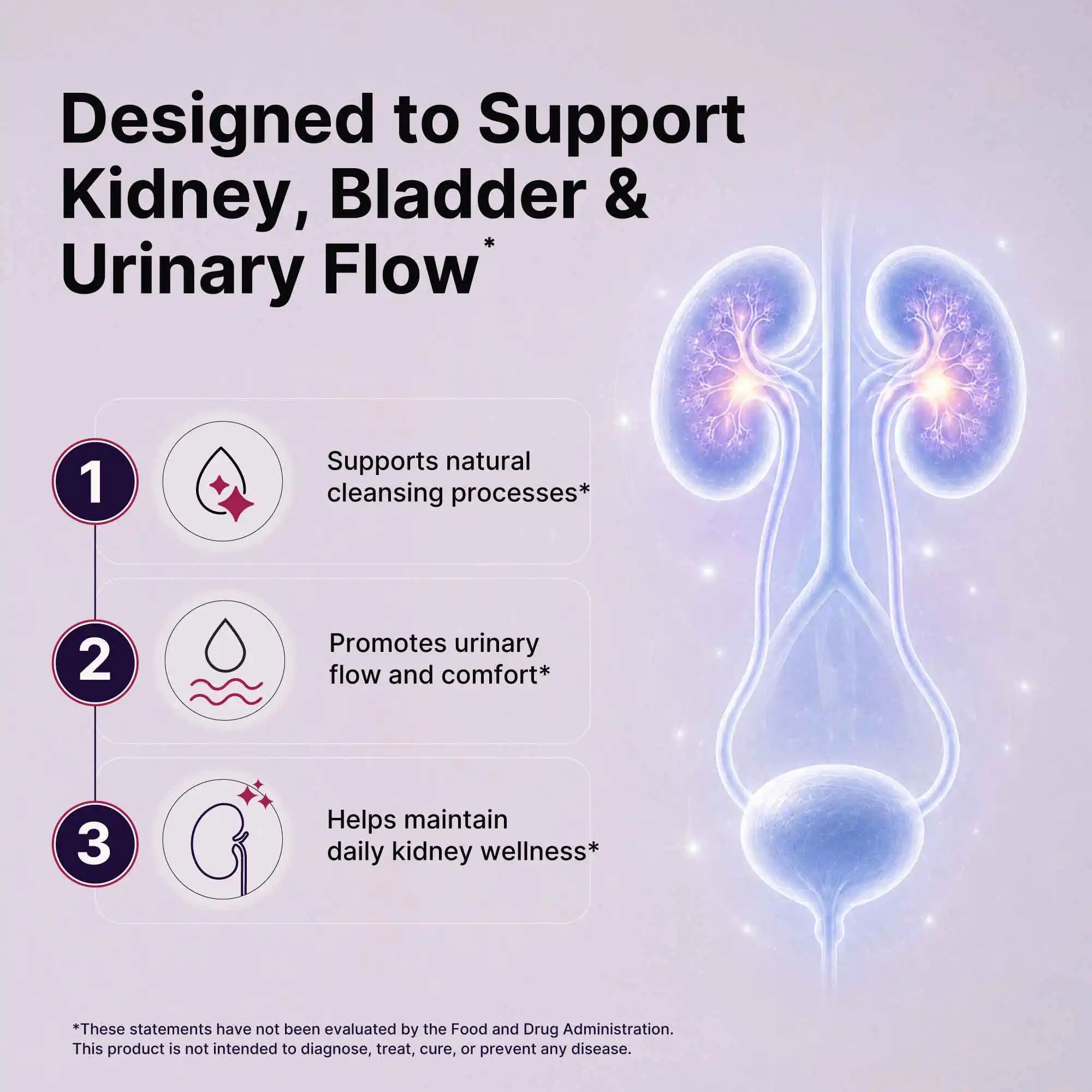 Advanced Kidney Support