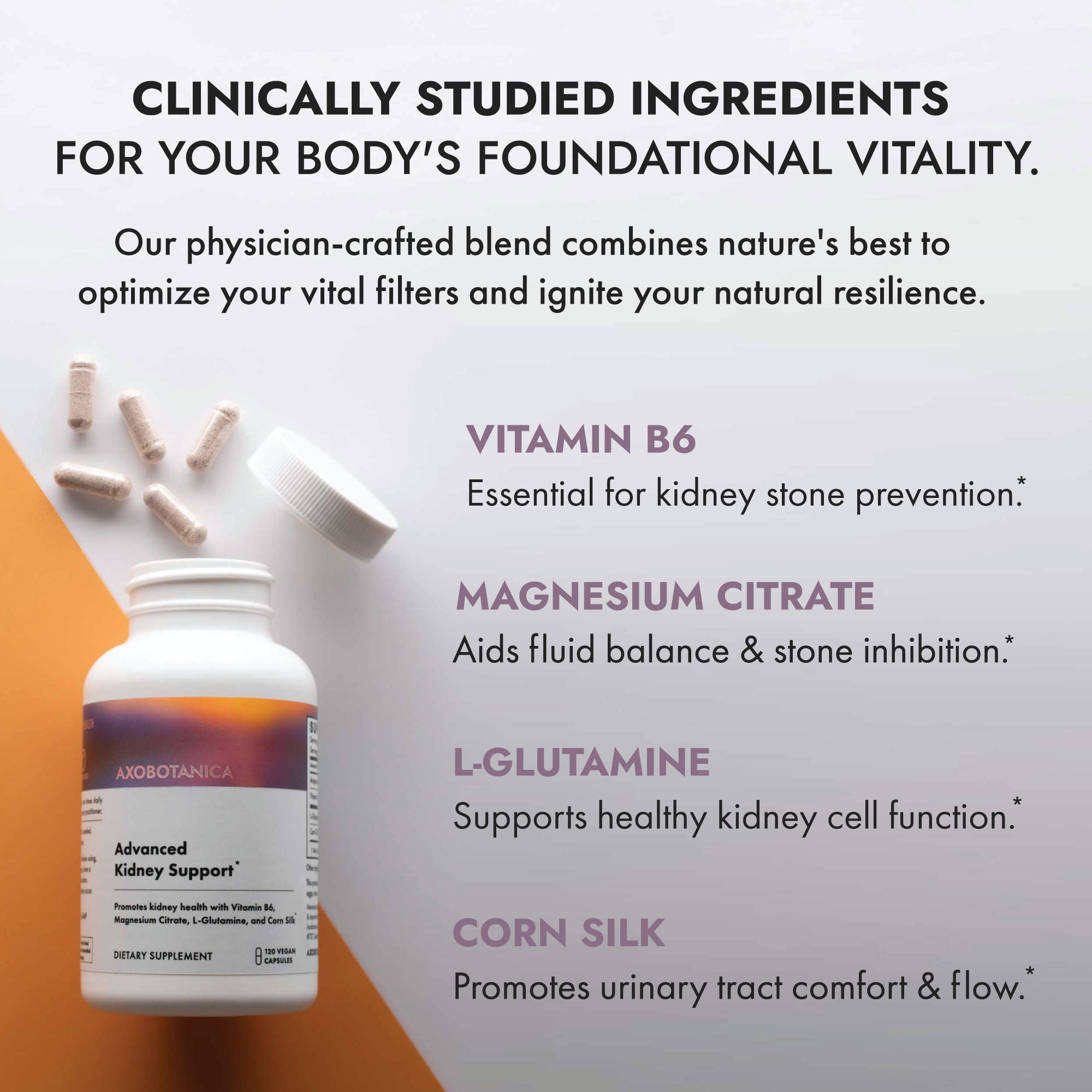Advanced Kidney Support