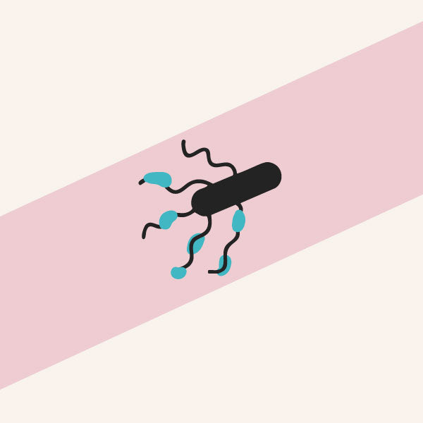 Illustration of E. coli bacteria with D-Mannose clinging to it