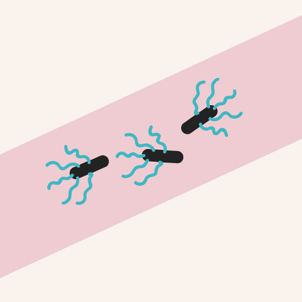 Illustration of E. coli bacteria with D-Mannose clinging to it