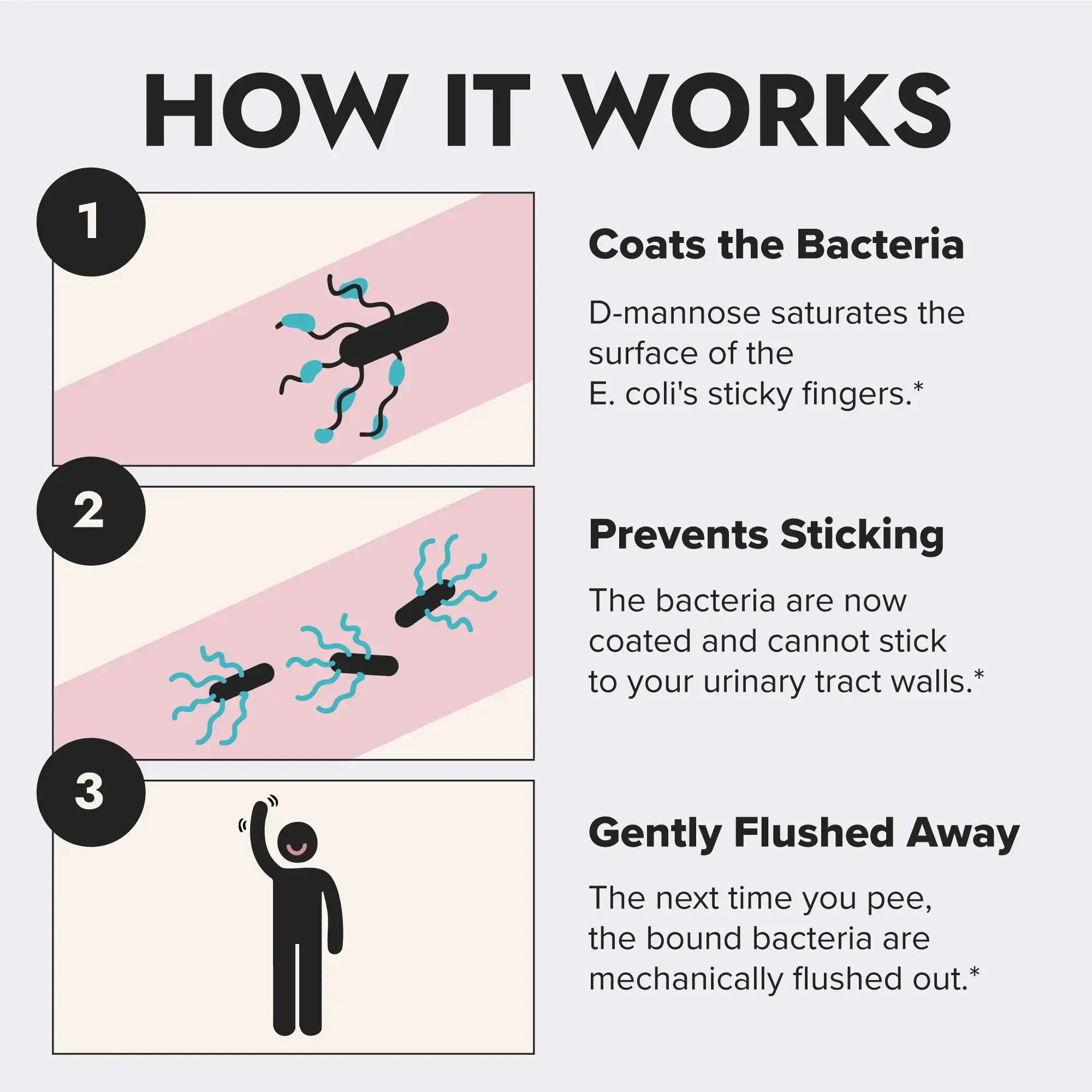 How it works illustration; coats bacteria, prevents sticking, gets gently flushed away