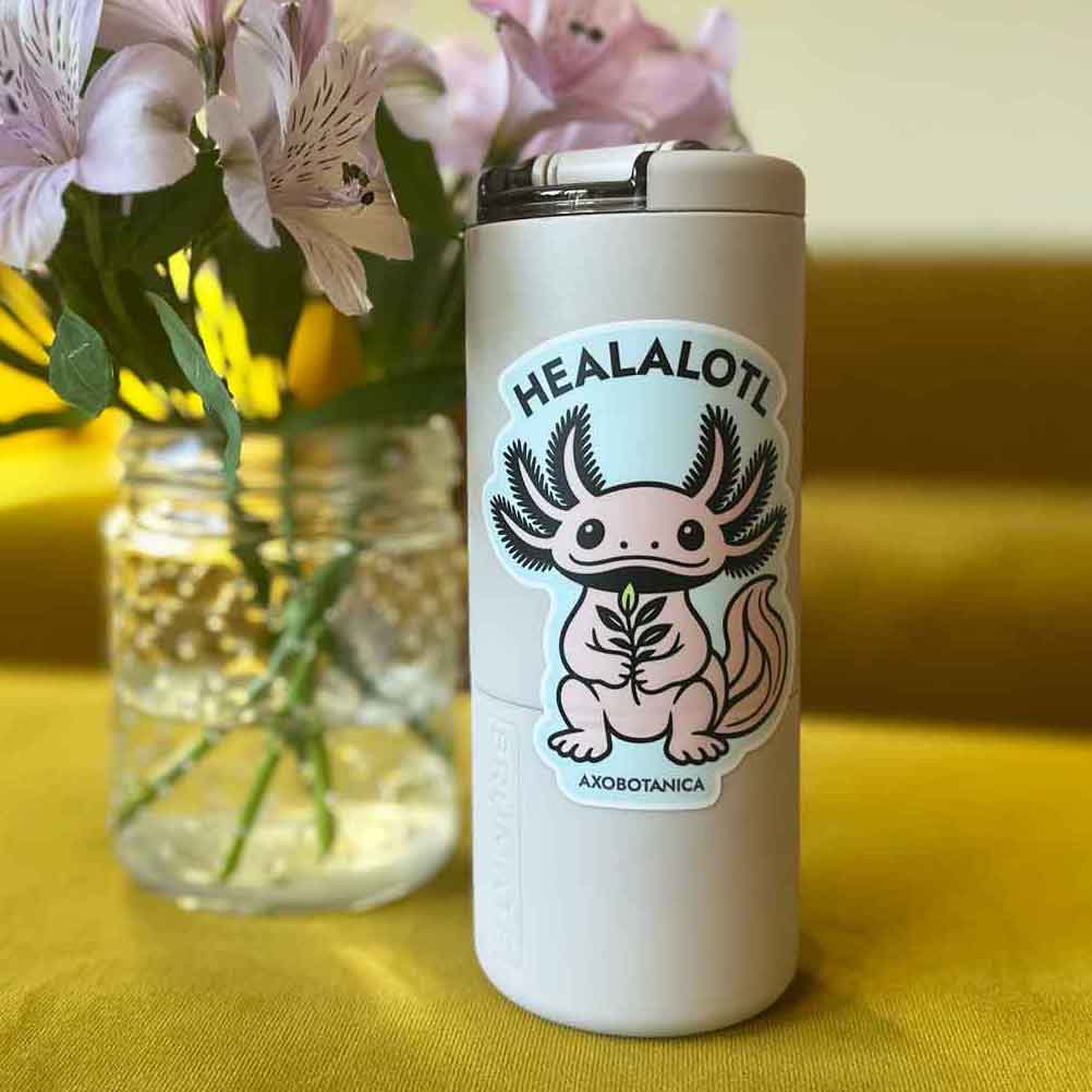 A white insulated tumbler with a cartoon axolotl sticker reading HEALALOTL and AXOBOTANICA, set on a yellow surface