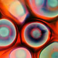 Abstract detail of cells under microscope