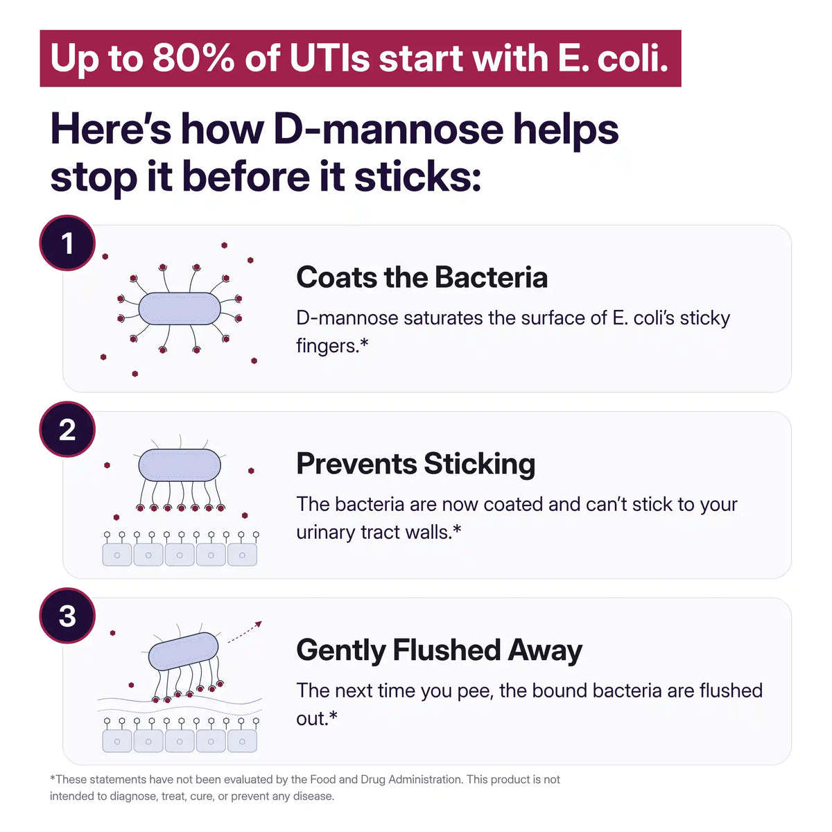 Infographic showing how D-mannose helps stop E. coli before it sticks: it coats the bacteria, prevents them from sticking to the urinary tract wall, and the bound bacteria are gently flushed away.