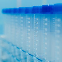 Close-up of a blue plastic tool with text on a white background